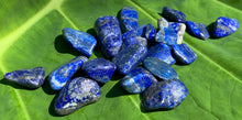 Load image into Gallery viewer, Lapis Lazuli, Tumbled