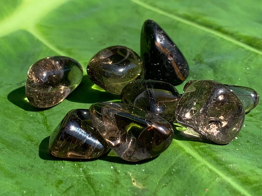 Smokey Quartz, Tumbled “extra”