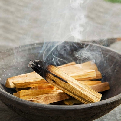 Palo Santo Wood Stick 4”