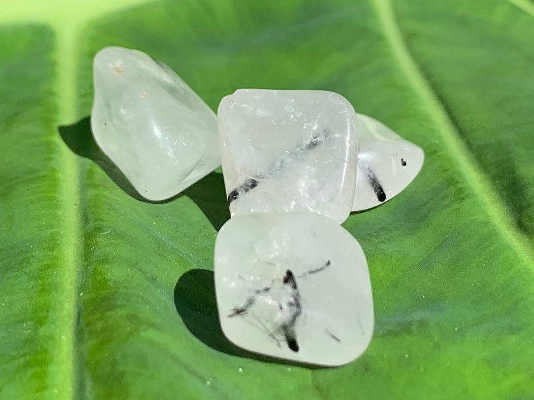 Tourmalated Quartz, tumbled