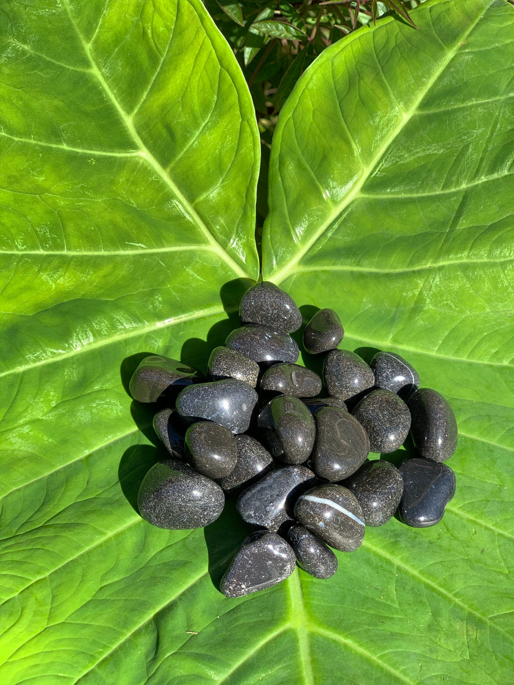 Black Agate, Tumbled