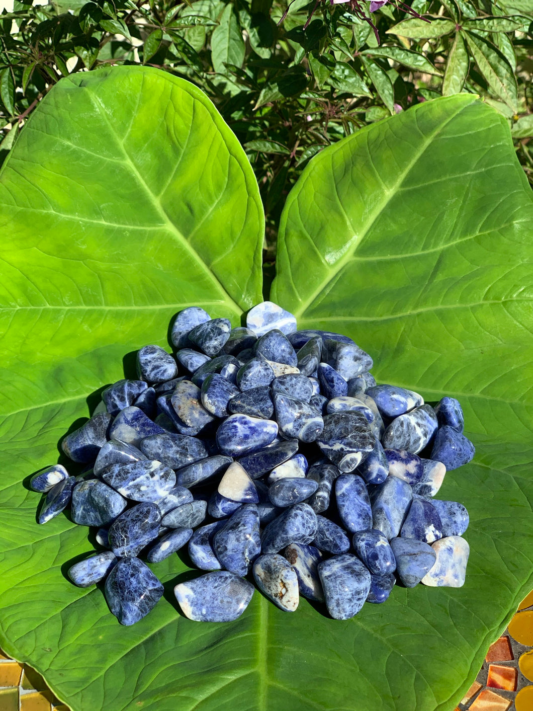 Sodalite, Tumbled